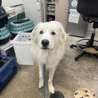 Sam