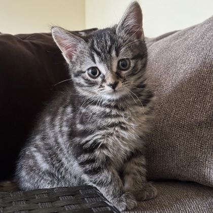 Eleanor