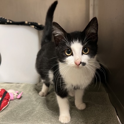 "Kiddo" - Finder's Hold