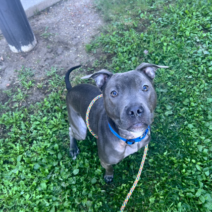 Coco