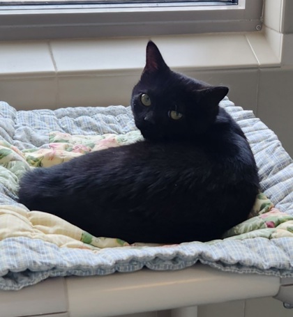 Princess Thora