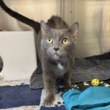 Jules- Petco Lake Geneva!