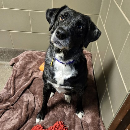 Ellee - Benchwarmer!