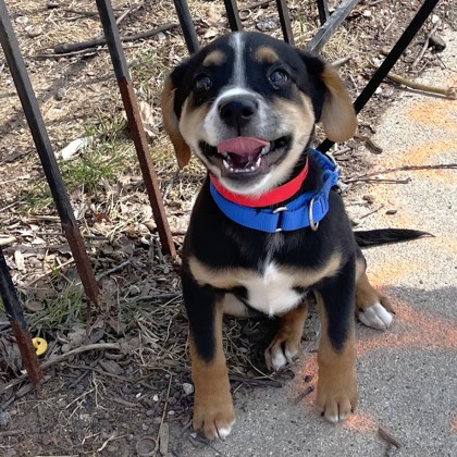 Shelly - Available Tue. Mar. 31 @ 12pm