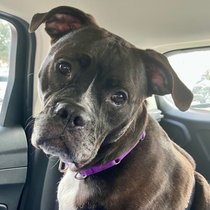 Winter - Benchwarmer-Video!