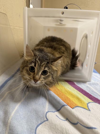 Eloise-Petco Lake Geneva!