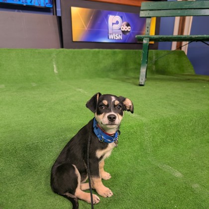 Splash - Featured on WISN!