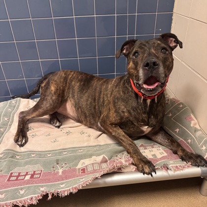 Princess-Benchwarmer!