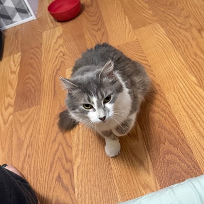 Beatriz - Staff Pick!