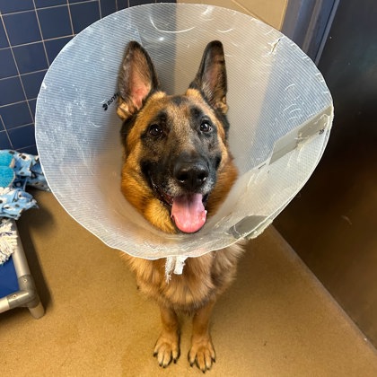 Jax
