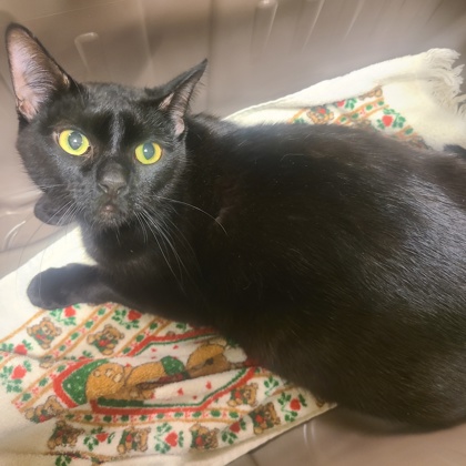 Luna