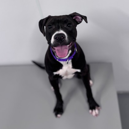 Athena - Benchwarmer!