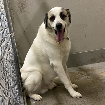 Titan - Benchwarmer!