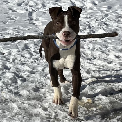 Mr. David Lo Pan - Video!