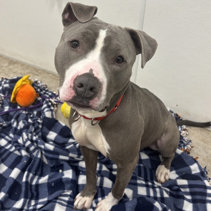 Buddha - Benchwarmer!