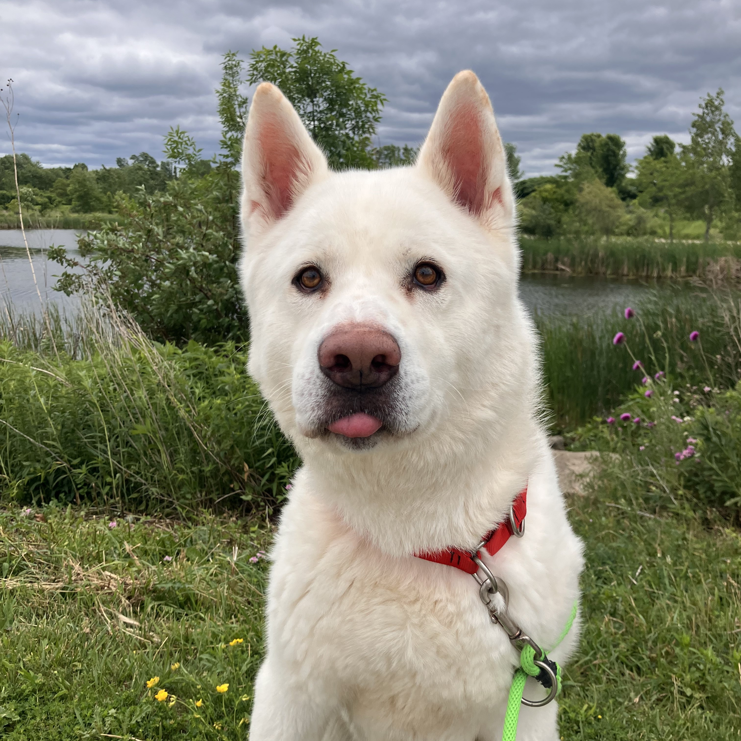 Yuki