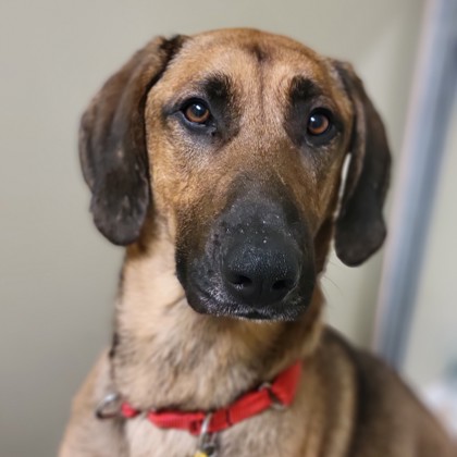 Aries - Benchwarmer!