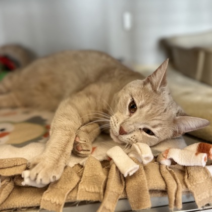 Milo