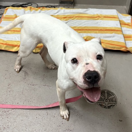 Lida - Bonded Pair!