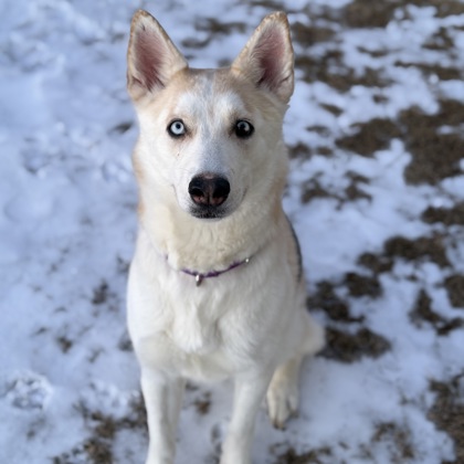 Winter - Benchwarmer!