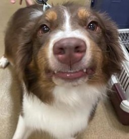 Coco