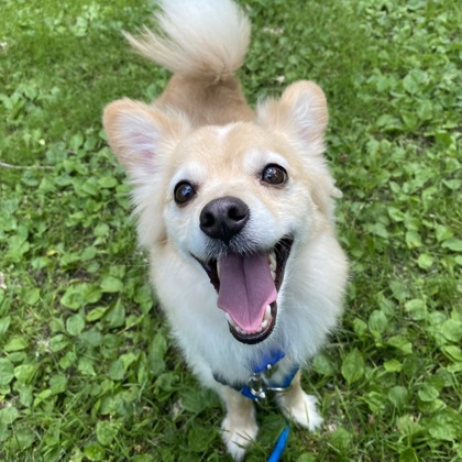Pablo