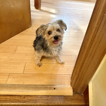 Lola