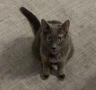 Storm - Video & Required Couple!