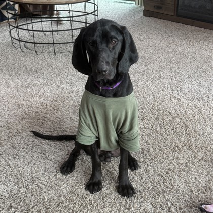Gunner