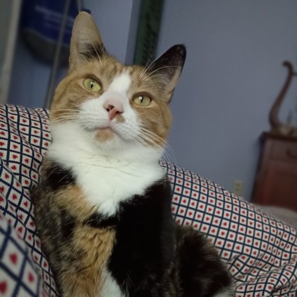 Penny