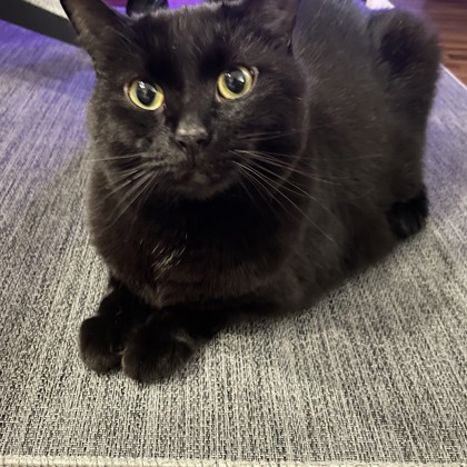 Tiny