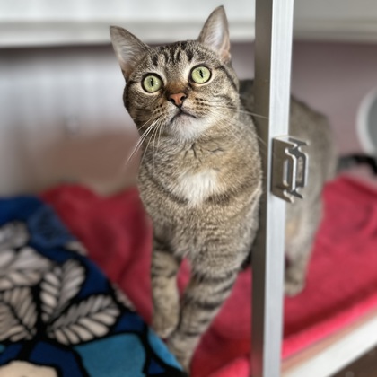 Penelope