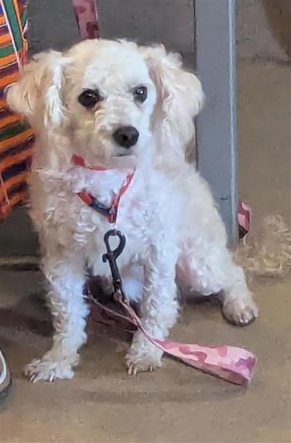 Sophie