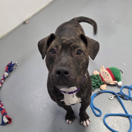 Winnie - Benchwarmer!