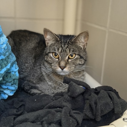 Cataclysm - REQUIRED COUPLE!