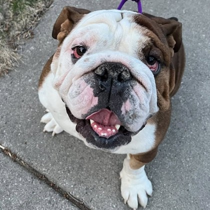 Chunks