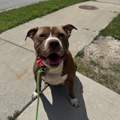 Ruby