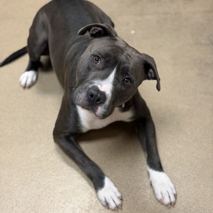 Draco - Benchwarmer!