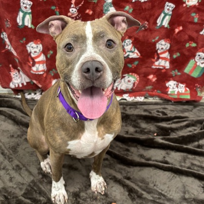 Hermoine - Benchwarmer!