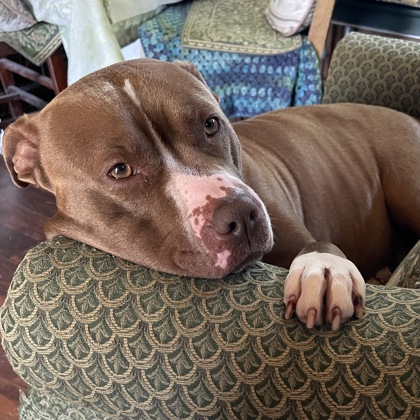 Ruby