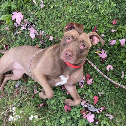 Strawberry - Benchwarmer!