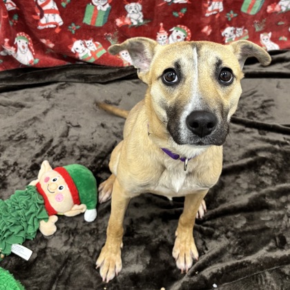 Saskia - Benchwarmer!