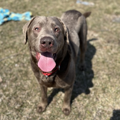 Mushi - Benchwarmer!