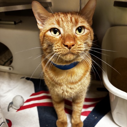 Sir - Required Couple!