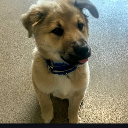 Fabio- Telethon Hold