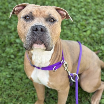 Max - Staff Pick & Benchwarmer!
