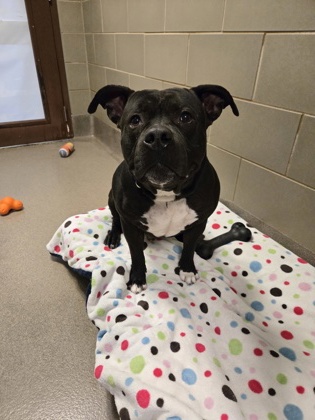 Billy - Benchwarmer!