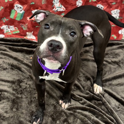 Athena - Benchwarmer!