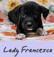 Lady Francesca