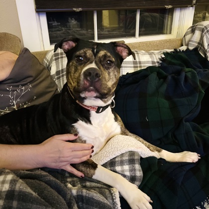 Gordita - Benchwarmer!